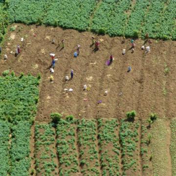 Agriculture in Rwanda